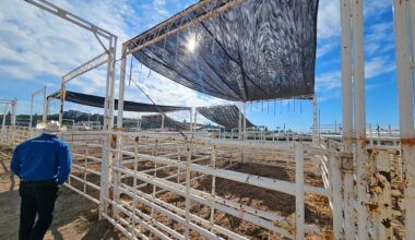 Calgary Stampede may come with a weather rodeo this year