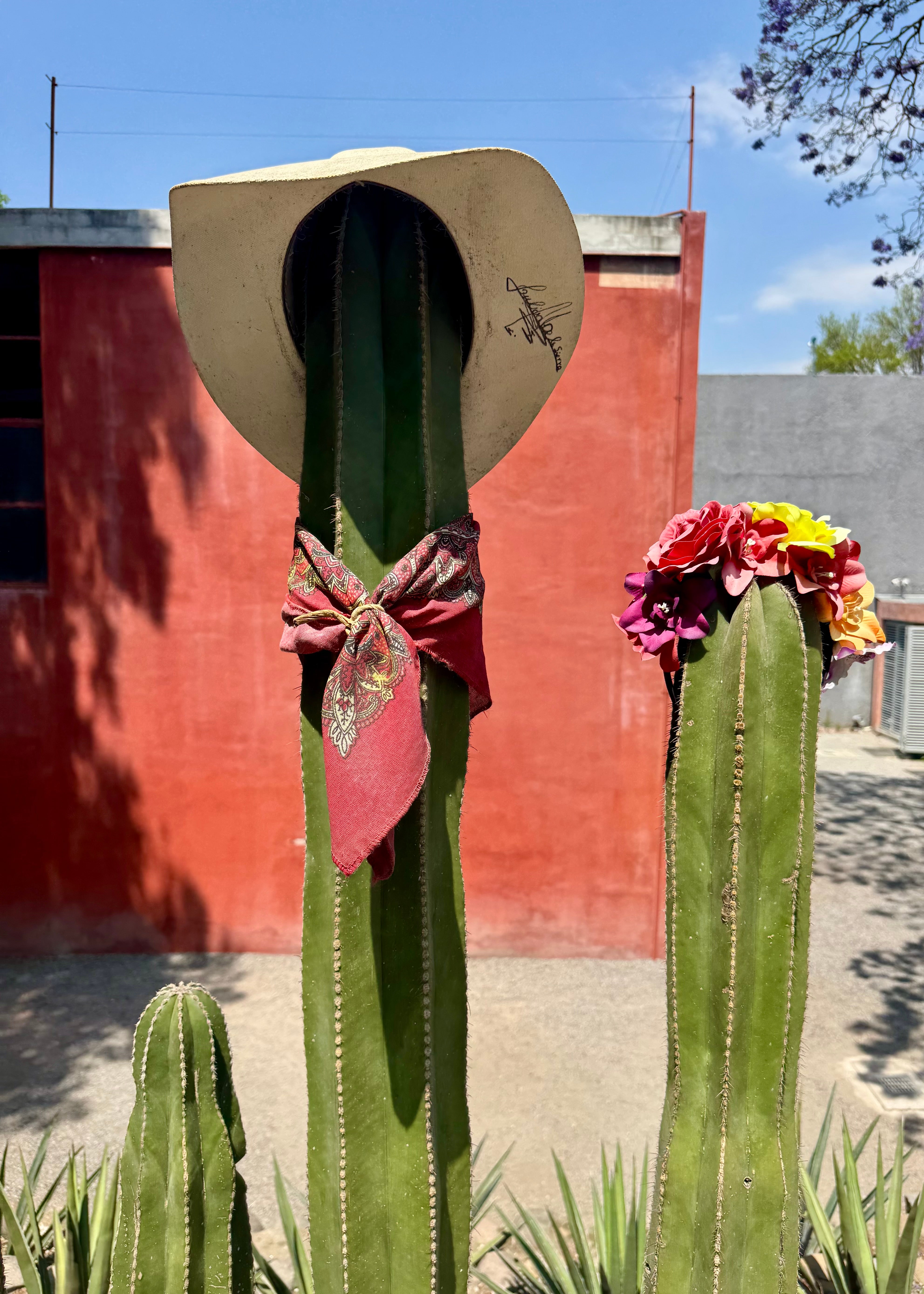 Casa Estudio Diego Rivera y Frida Kahlo offers insight into the couple’s volatile dynamic