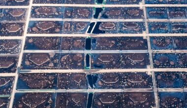 An aerial photo shows a giant cattle feedlot in a checkerboard pattern.