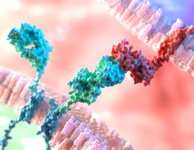 First-in-class experimental CAR T-cell therapy shows promise against solid tumors