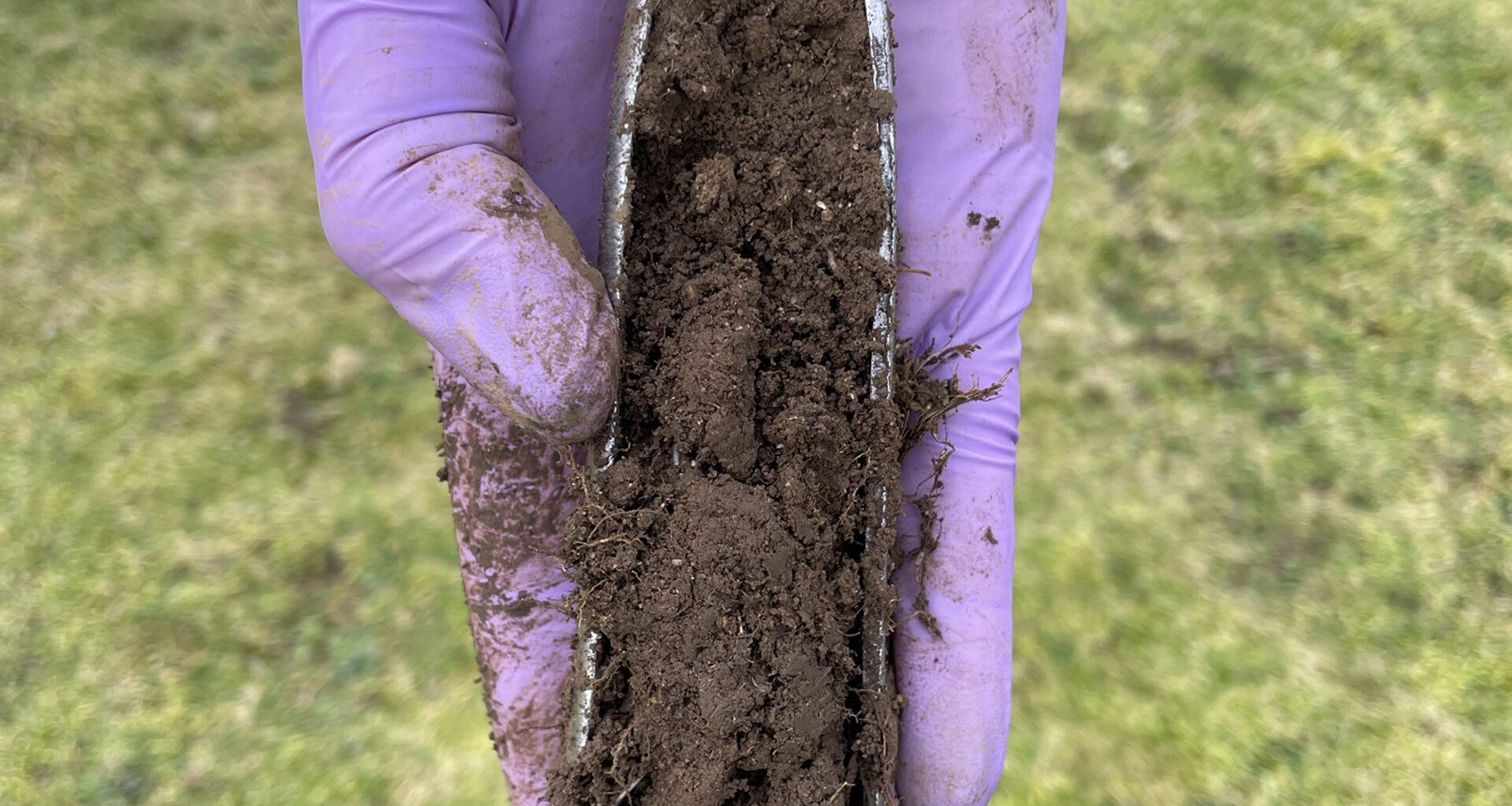 PFAS levels in shallow soils