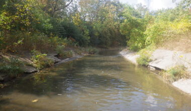 Mississauga welcomes federal investment to restore the Cooksville Creek watershed – City of Mississauga