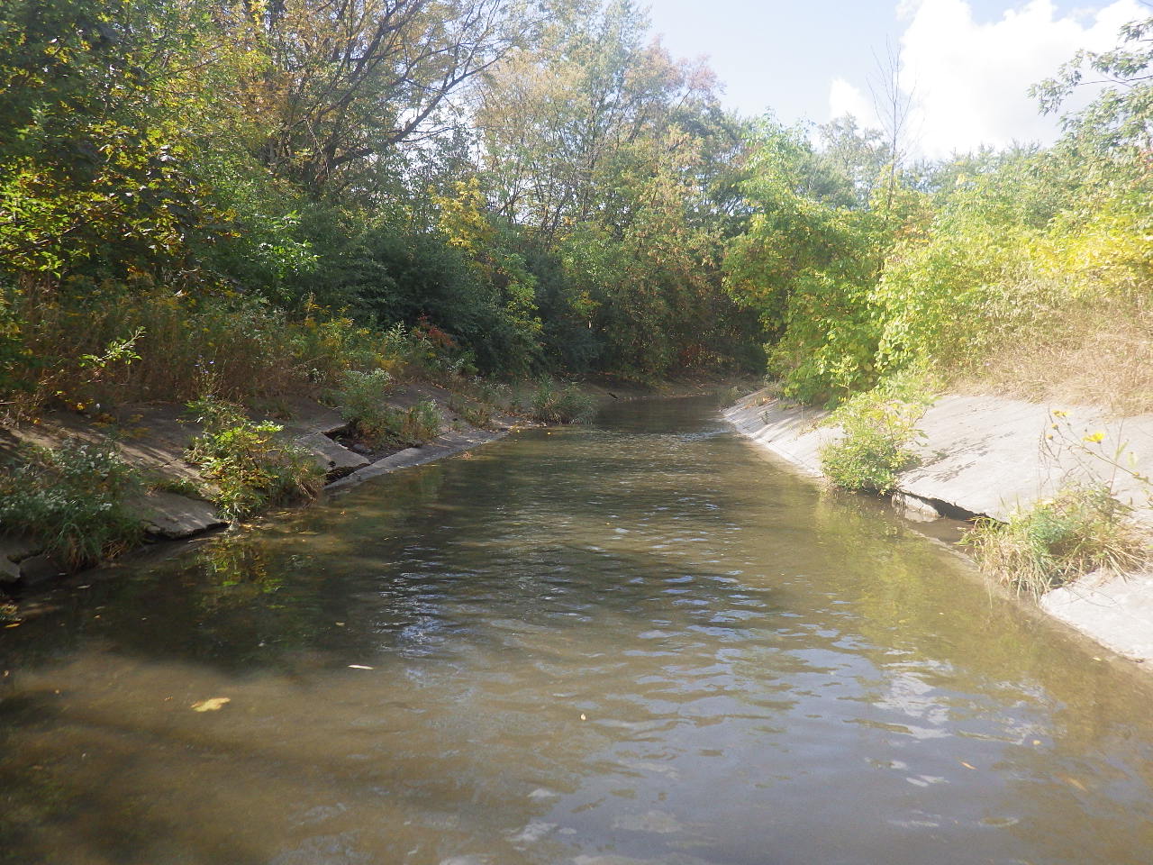 Mississauga welcomes federal investment to restore the Cooksville Creek watershed – City of Mississauga