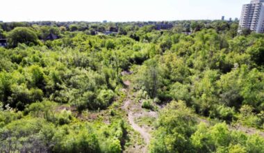 New funds will help rebuild lost habitat in growing Mississauga neighbourhood