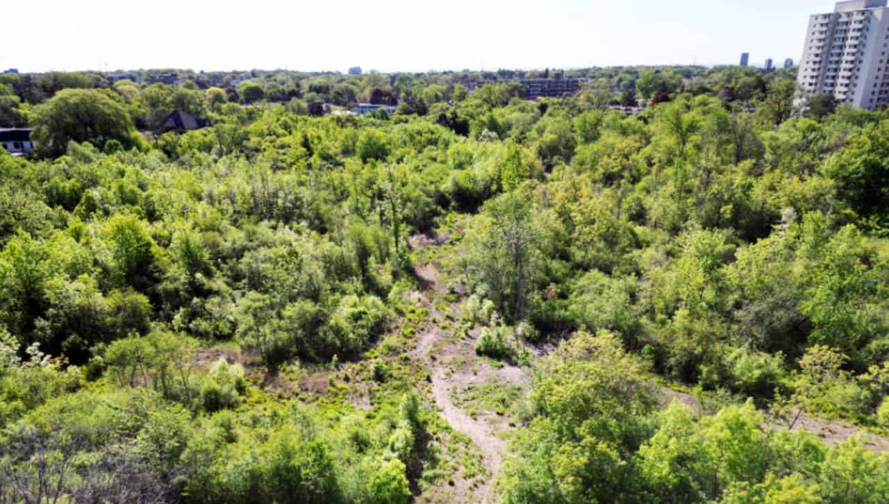 New funds will help rebuild lost habitat in growing Mississauga neighbourhood