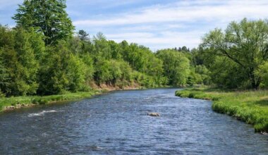 Vehicle plunges into Credit River in Brampton, person rescued