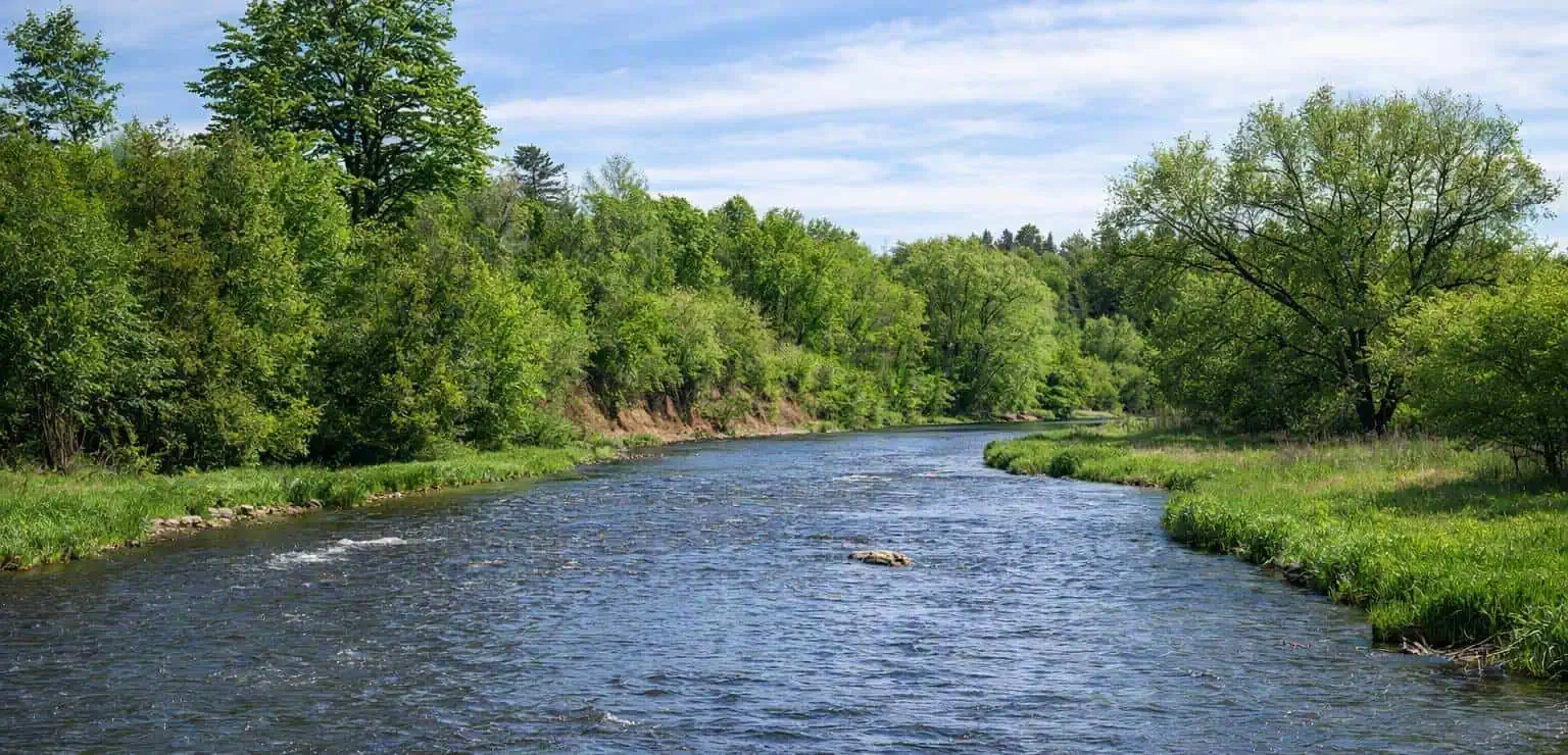 Vehicle plunges into Credit River in Brampton, person rescued