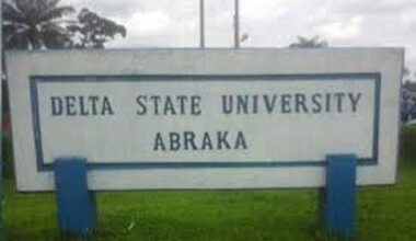 Ojineka wins DELSU entrepreneurship, innovation quiz competition