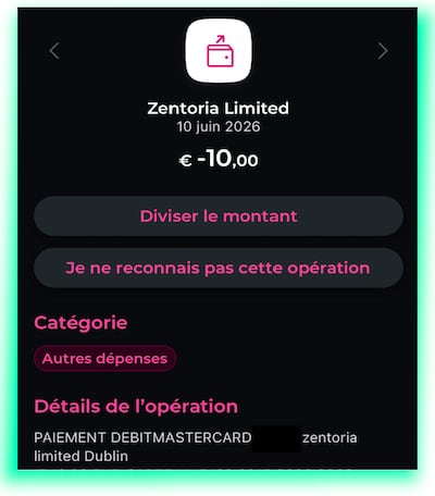 Zentoria was granted a remote bookmaking operation (RBO) licence by Irish authorities and has shown up as the recipient of customer payments from non-Irish licensed gambling sites.