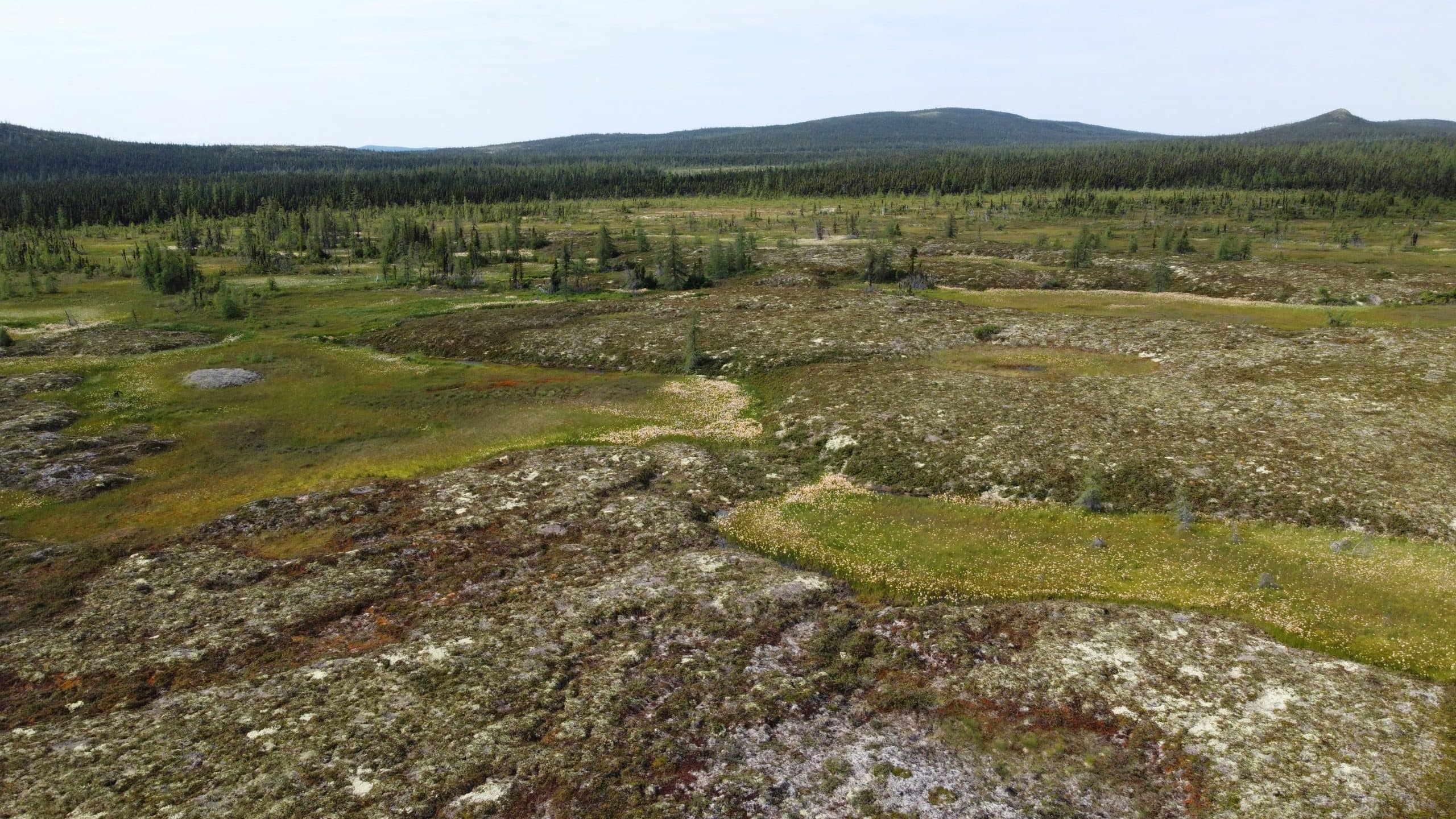 A landscape of permafrost with shrubs and lichen growing on it is seen near Rigolet, Labrador.