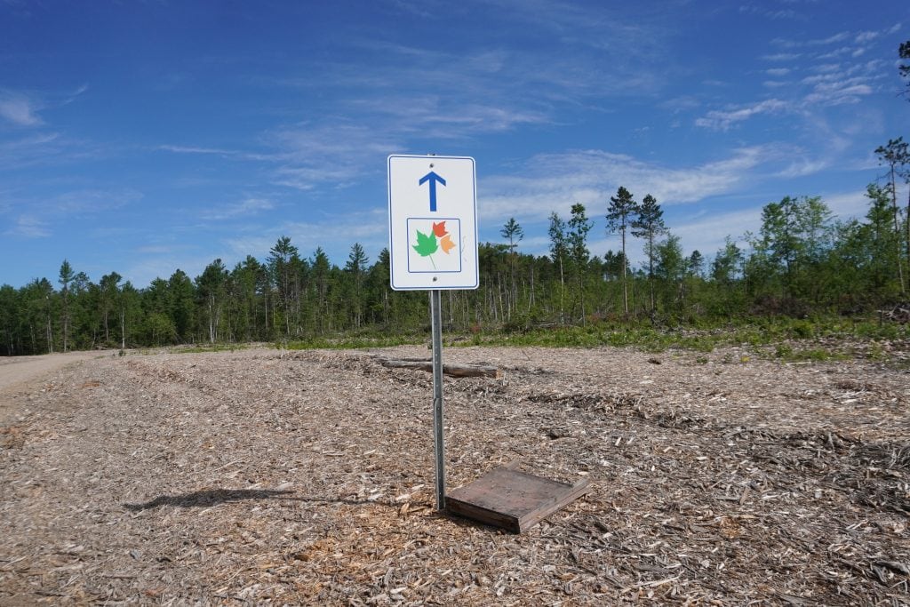 The area around the Canadian Ecology Centre was one of the spots in Samuel de Champlain park hit hardest by the storm.