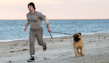 Anthony Ippolito stars as Sylvester Stallone in I Play Rocky