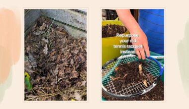 composite of compost heap and screenshot of Simon Akeroyd's reel