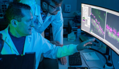 Discovery lays foundation for gene therapy in hereditary deafness » McKnight Brain Institute » University of Florida