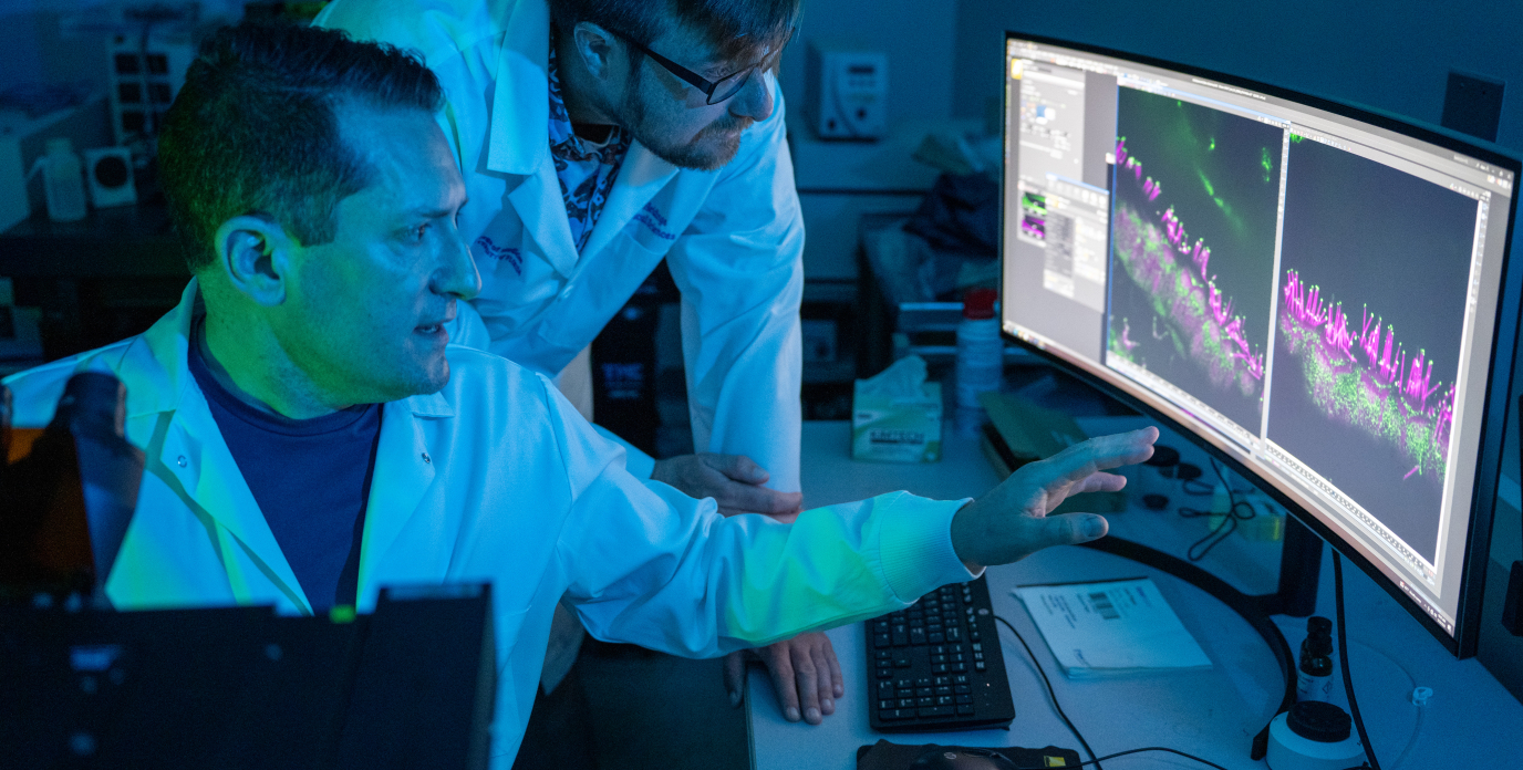 Discovery lays foundation for gene therapy in hereditary deafness » McKnight Brain Institute » University of Florida