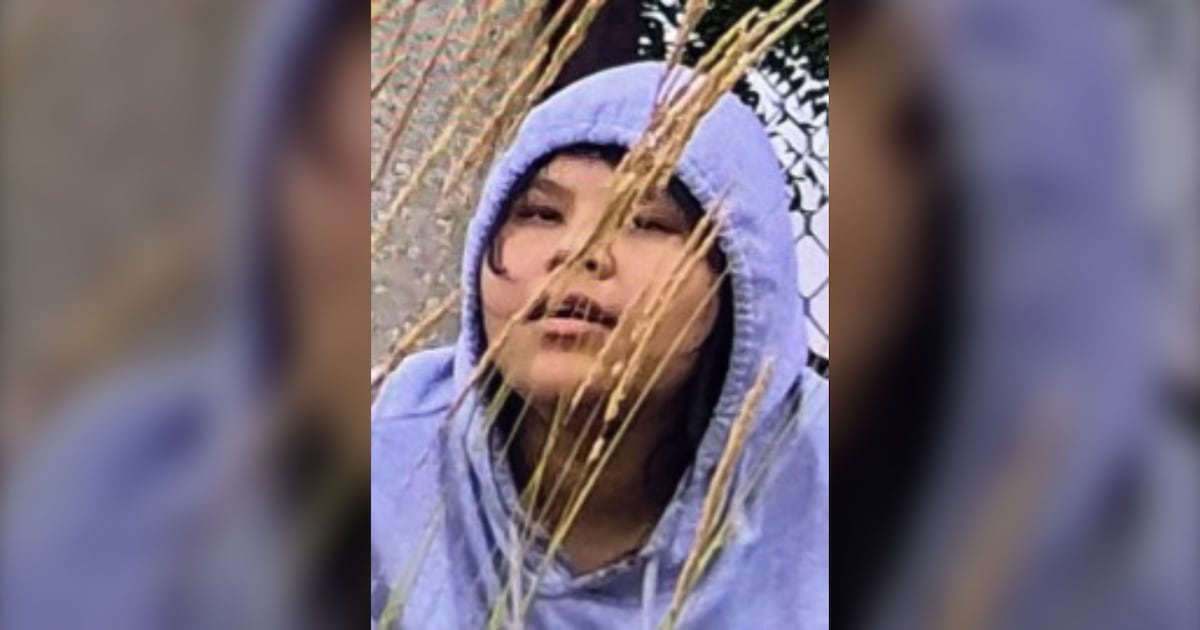 Toronto police search for missing 23-year-old woman