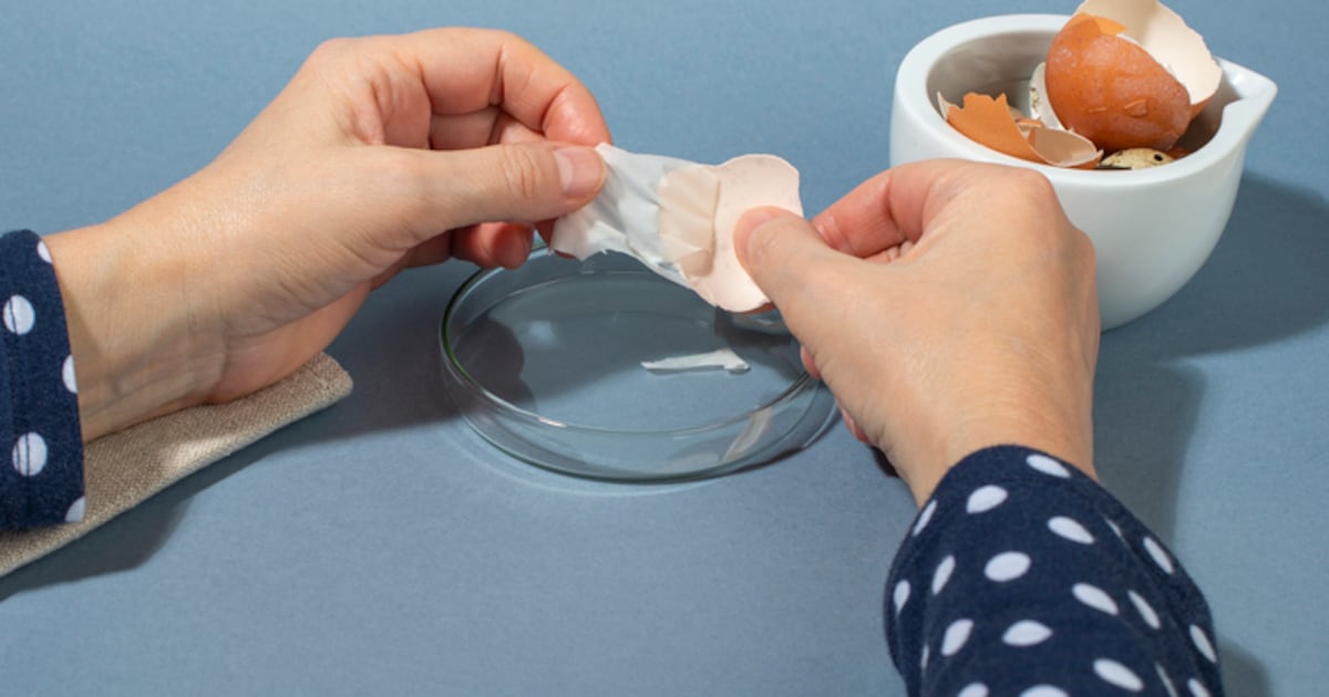 Egg membrane collagen peptides approved as EU Novel Food
