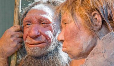 Neanderthals: Cave hints at shared culture with humans