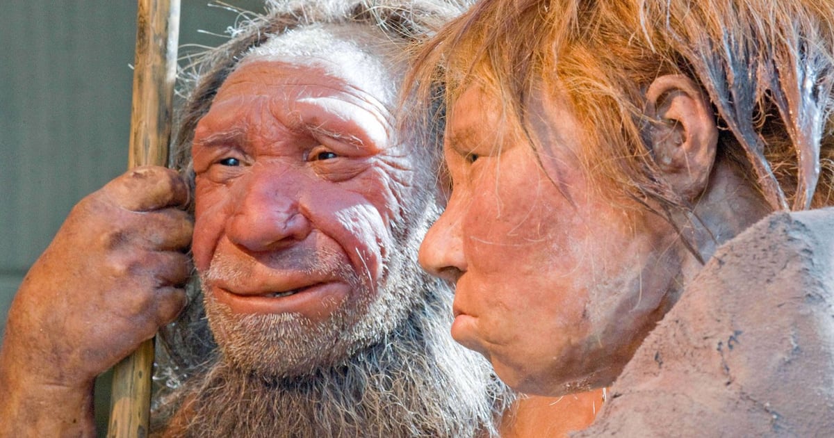 Neanderthals: Cave hints at shared culture with humans