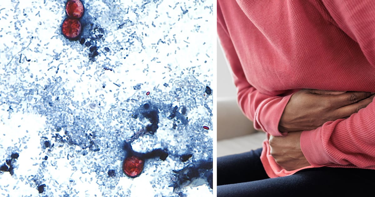 The parasite causing explosive diarrhea could reach Canada if U.S. can’t find the cause soon, says expert - CTV News