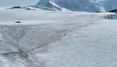 Emily Broadwell on Signy ice cap
