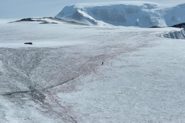 Emily Broadwell on Signy ice cap