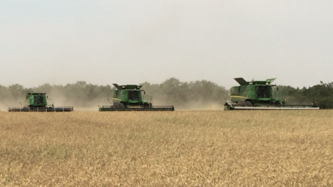 Ottawa invests $1.65 million in AI technology for climate-smart farming