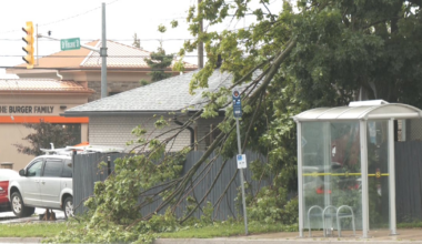 Thousands blacked out after Barrie, central Ontario thunderstorms - CTV News