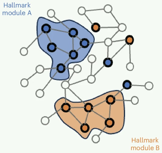 Protein clusters