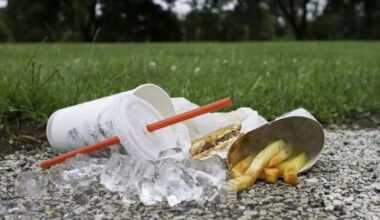 Messy parks a concern in Mississauga, residents say