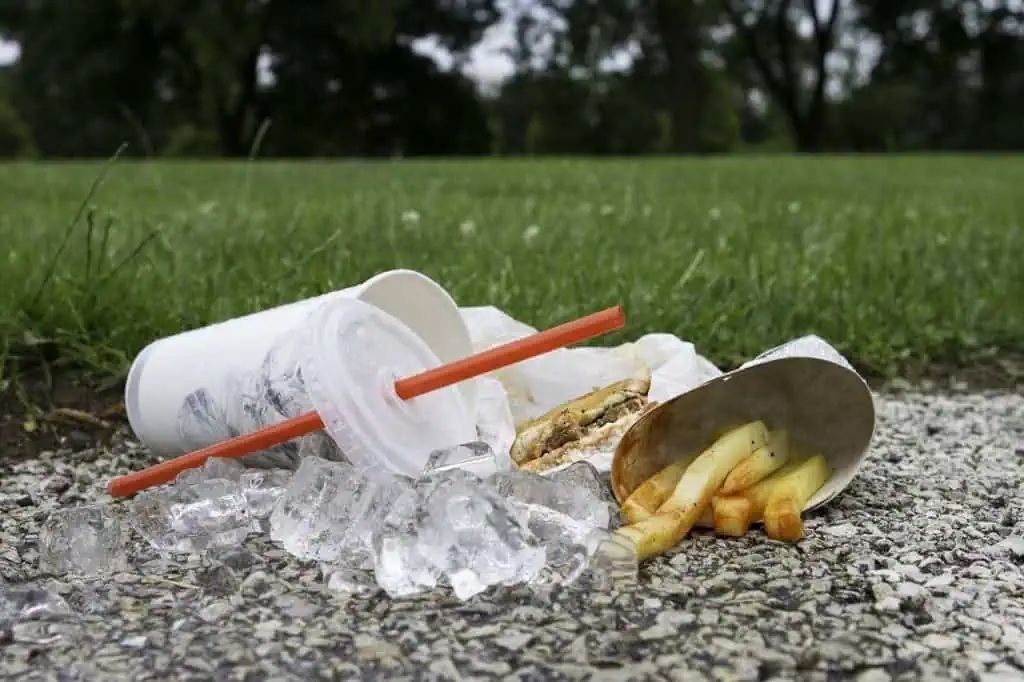 Messy parks a concern in Mississauga, residents say