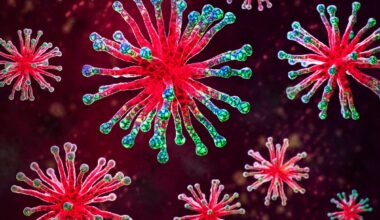 Close up of a group of Viruses