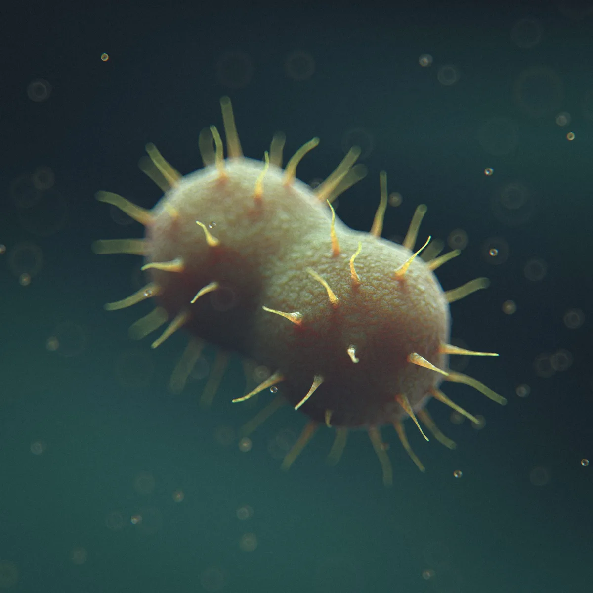 3d render of Gonorrhoea Bacteria