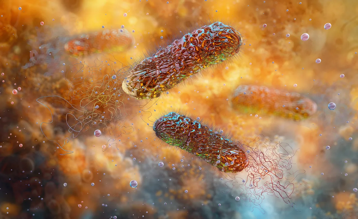 Pseudomonas aeruginosa, rod-shaped pathogen bacteria cell microscopy. Bacterial nosocomial infection, infectious disease. Microbiology science, antibiotic resistance research. 3D medical illustration