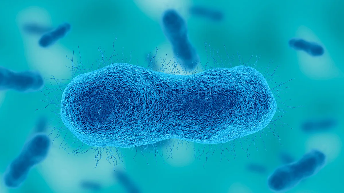 Acinetobacter baumannii, gram negative aerobic bacteria resistant to antibiotics. 3d illustration