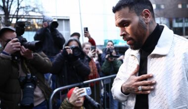 Chris Brown Must Pay Housekeeper $13 Million for Dog Mauling