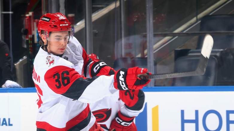 The Edmonton Oilers are linked with a move for Felix Unger Sorum.