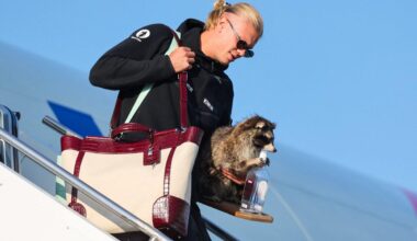 The story behind Erling Haaland and his taxidermy raccoon: ‘Lock the doors, let’s make this special’
