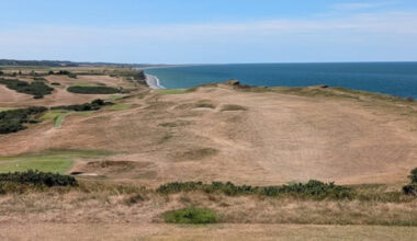 What this hot summer has done to golf courses