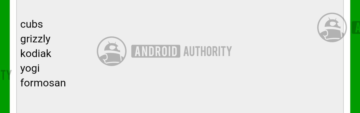 Google Pixel 11a codename watermarked