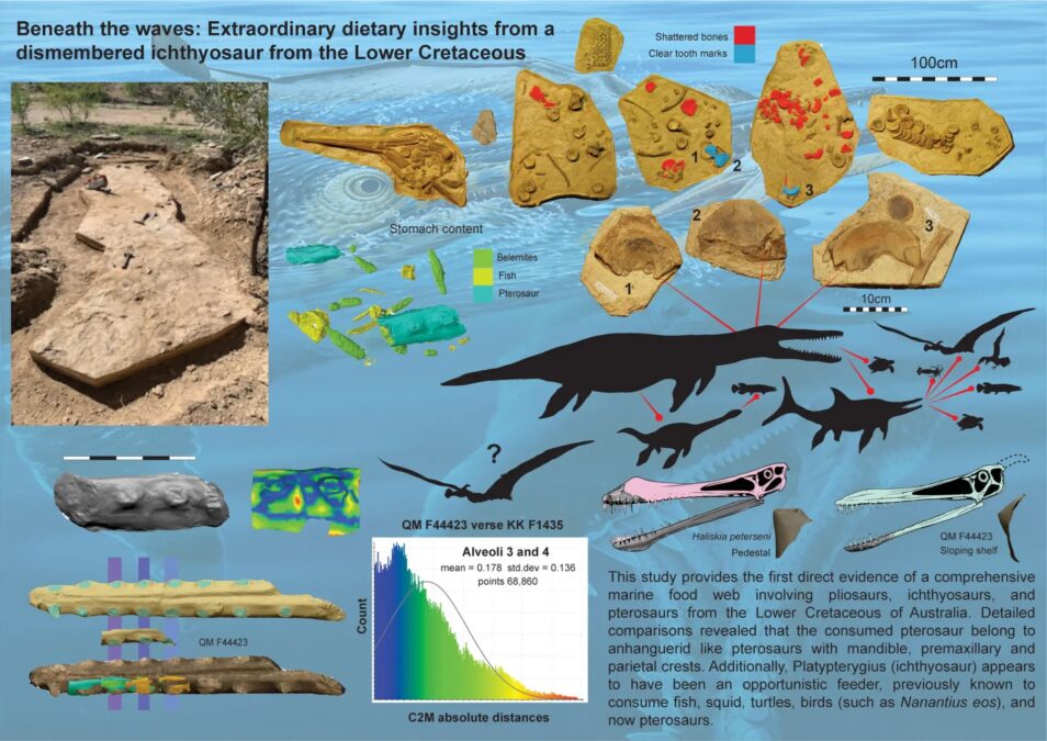 Ancient 'Turducken' Fossil Reveals Sea Monsters Eating Each Other