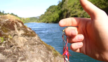 Baited lure danglings from a human's fingers.