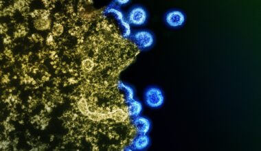 Evolution of Biological Information: HIV Evolution