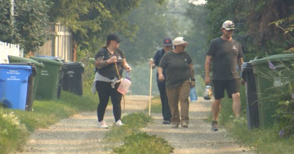 Volunteers travel from across Alberta as search for missing Calgary boy enters 9th day - CTV News