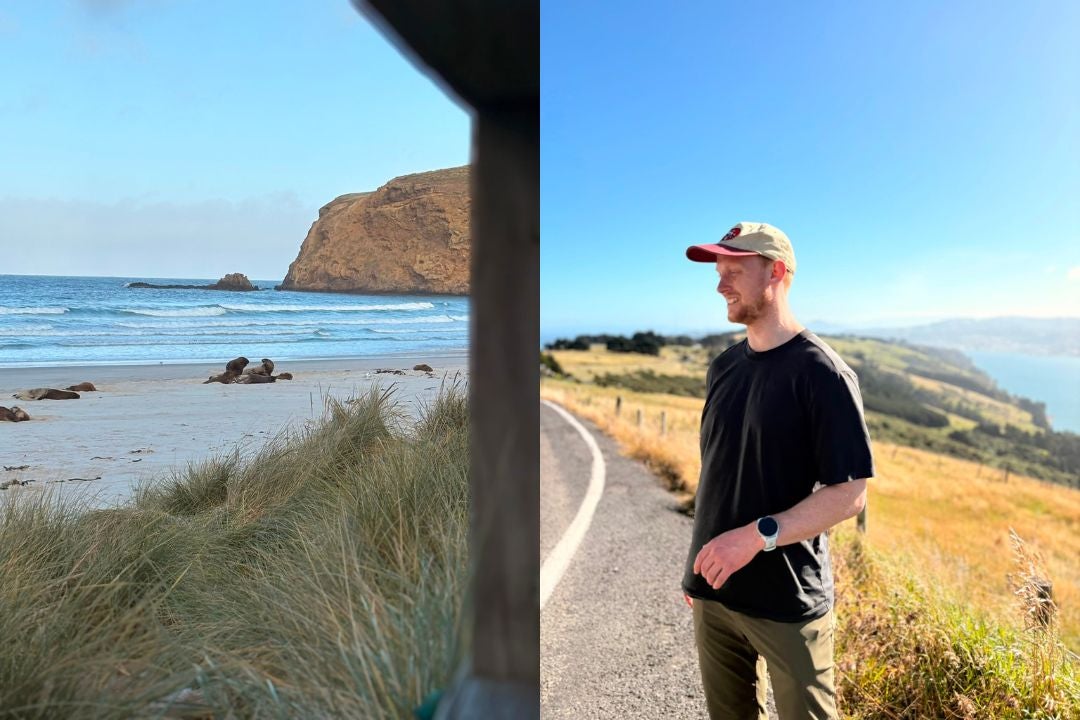 Insightful anecdotes, wildlife galore and stunning views – the Dunedin wildlife tour was a must-see for me