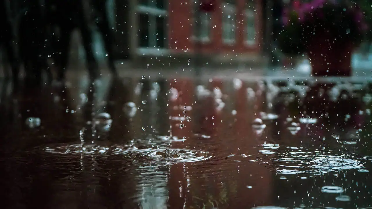 heavy rain expected in mississauga.