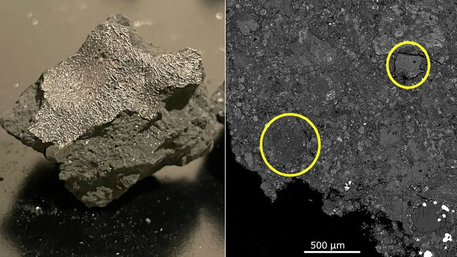 Hillsborough Meteorite - C1 clasts back scattered electron image A. Gordon NASA SETI