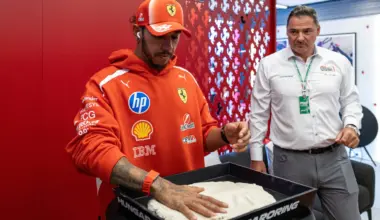 BUDAPEST, HUNGARY - JULY 25: Second placed qualifier Lewis Hamilton of Great Britain and Scuderia