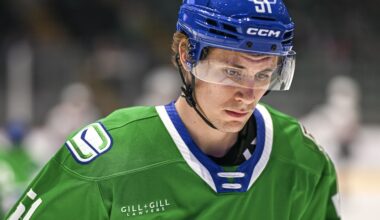Former Piston Birnie signs 2-way contract with AHL's Calgary Wranglers - SteinbachOnline.com