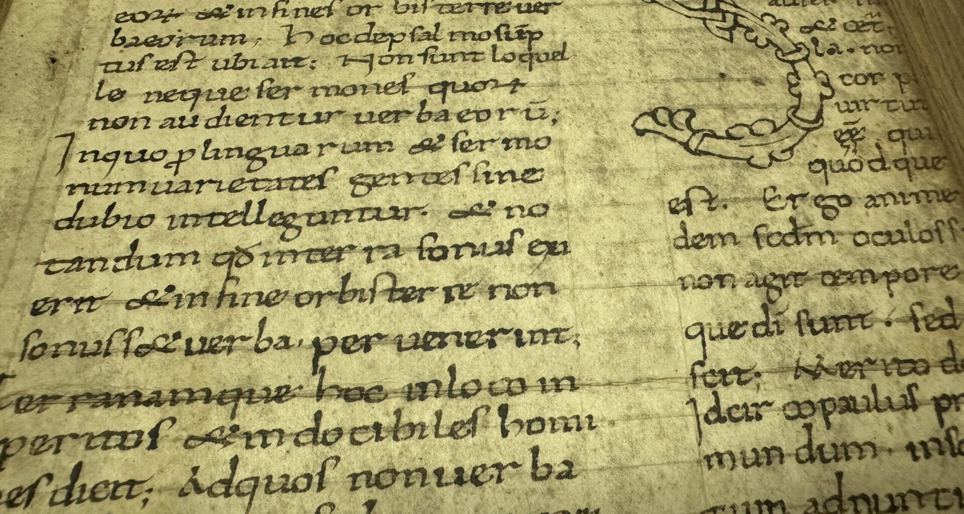 Rare manuscript fragment among new heritage acquisitions at Université de Montréal